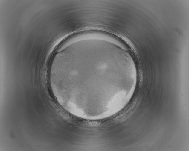 X0000113050878200910081229