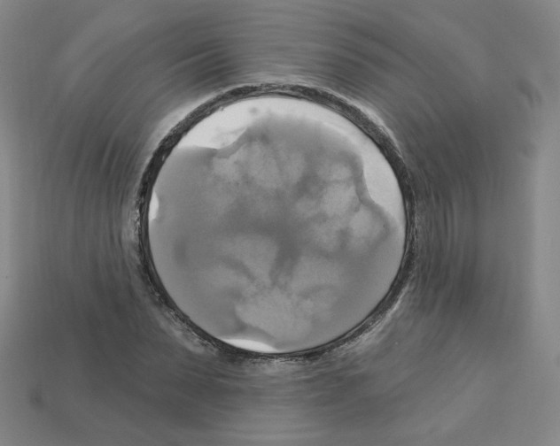 X0000113050879200910081229