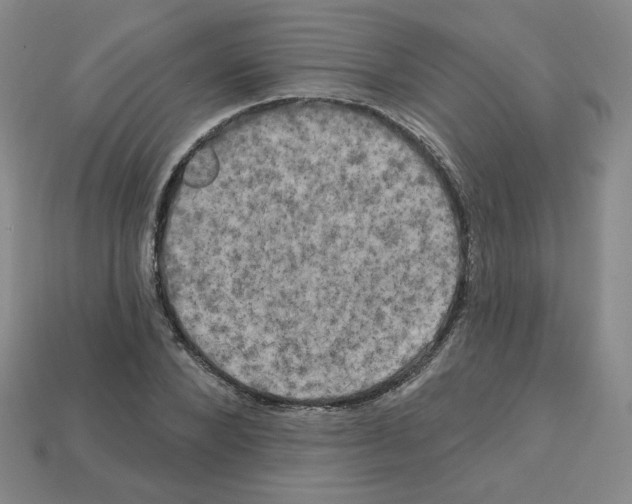 X0000113050880200910081229
