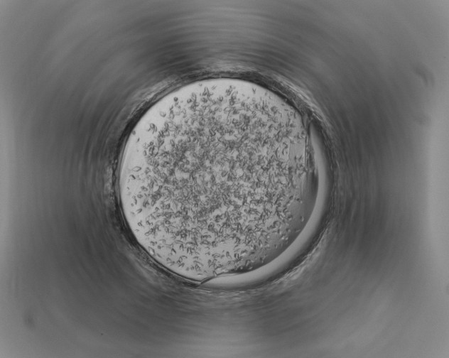 X0000113050881200910081229