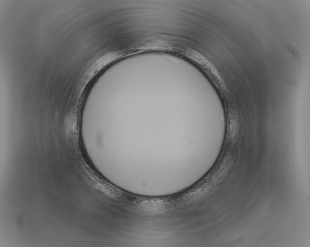 X0000113050882200910081229