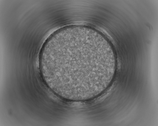 X0000113050883200910081229