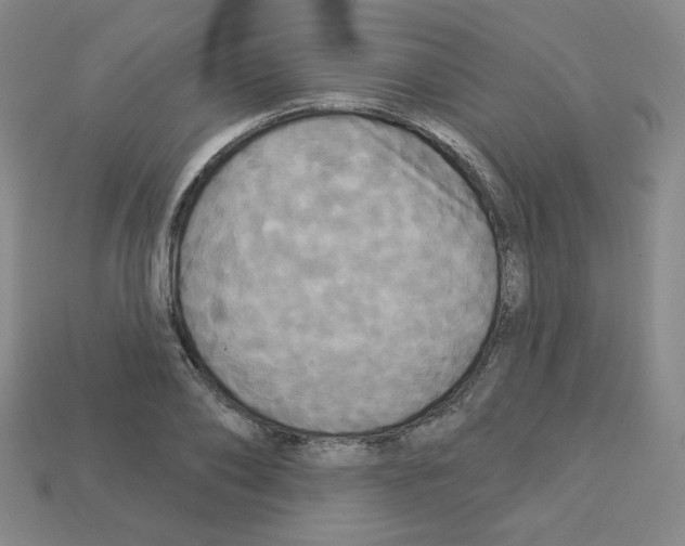 X0000113050886200910081229