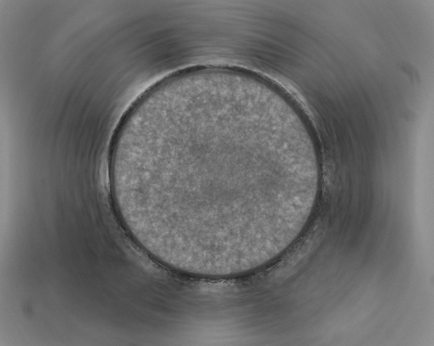 X0000113050887200910081229