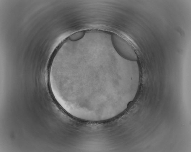 X0000113050888200910081229