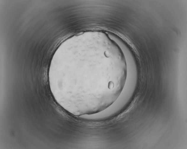 X0000113050889200910081229