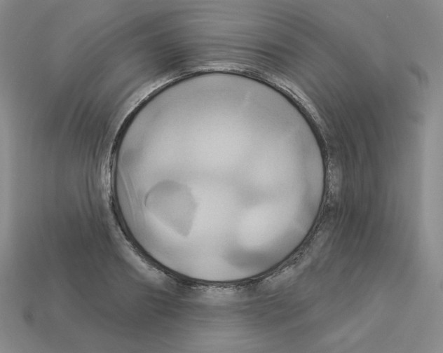 X0000113050890200910081229