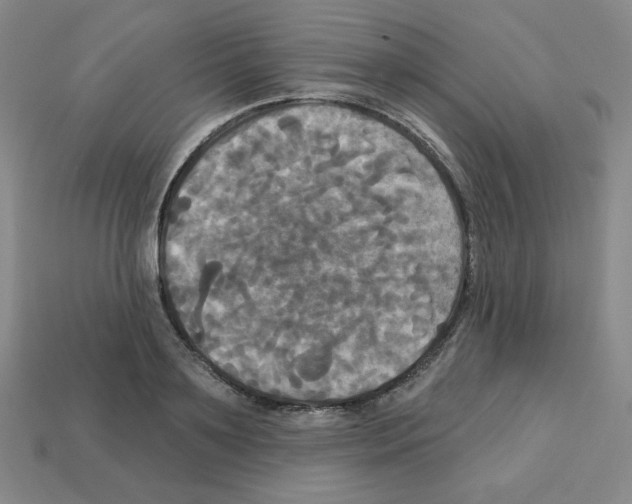 X0000113050891200910081229