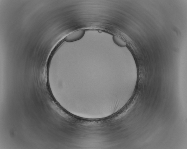 X0000113050892200910081229