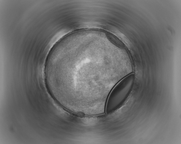 X0000113050893200910081229