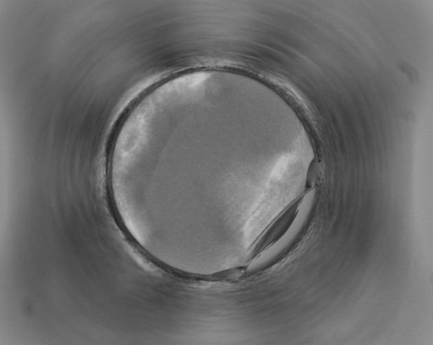 X0000113050894200910081229