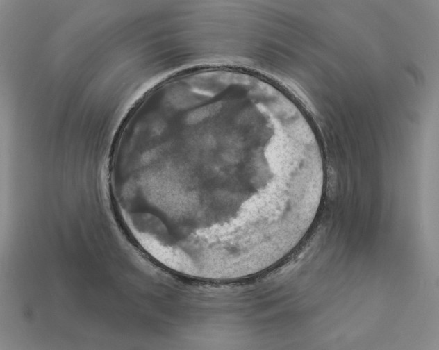 X0000113050895200910081229
