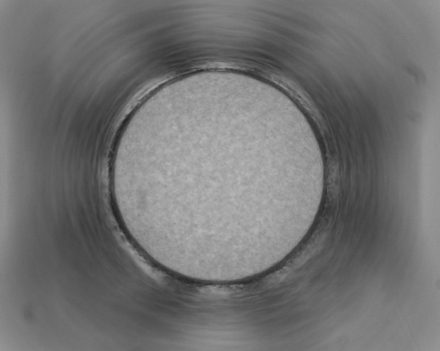 X0000113050898200910081229