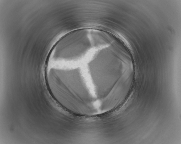 X0000113050899200910081229