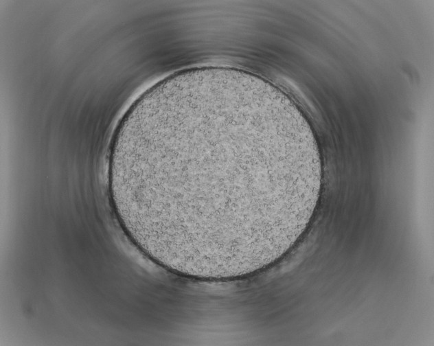 X0000113050900200910081229
