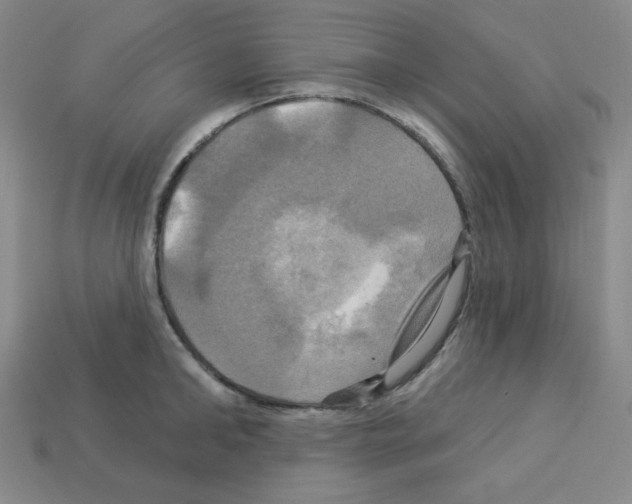 X0000113050902200910081229