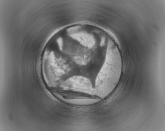 X0000113050903200910081229