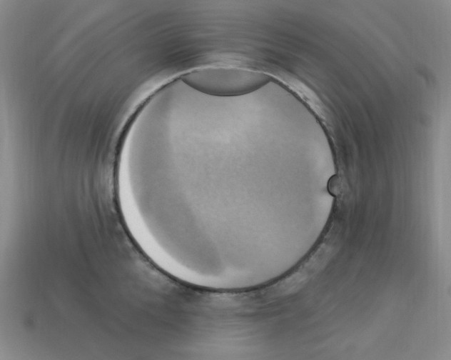 X0000113050904200910081229