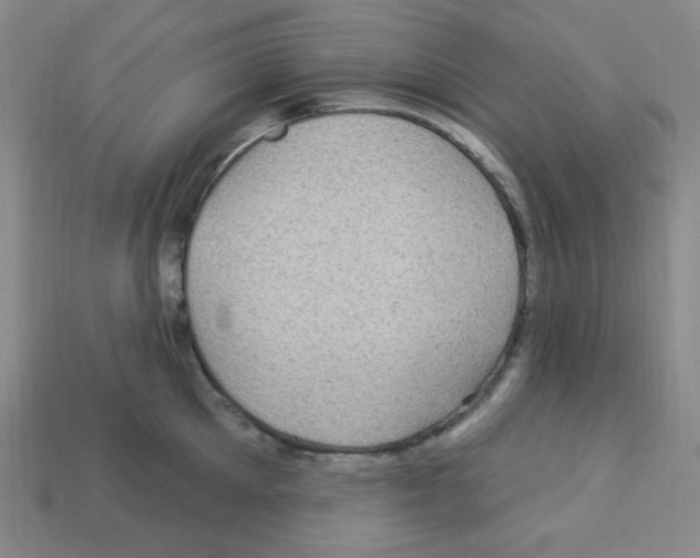 X0000113050905200910081229