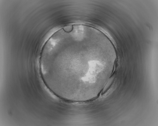 X0000113050906200910081229