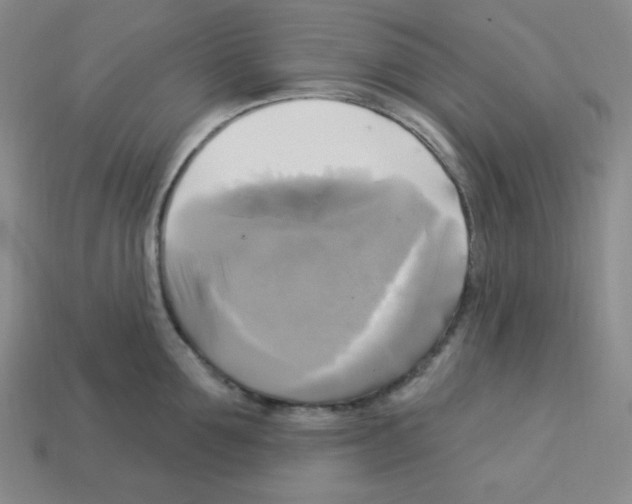 X0000113050907200910081229