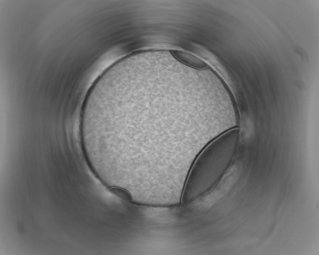 X0000113050909200910081229