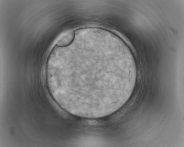 X0000113050911200910081229