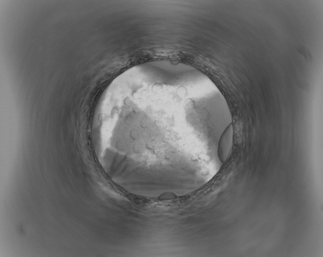 X0000113050913200910081228