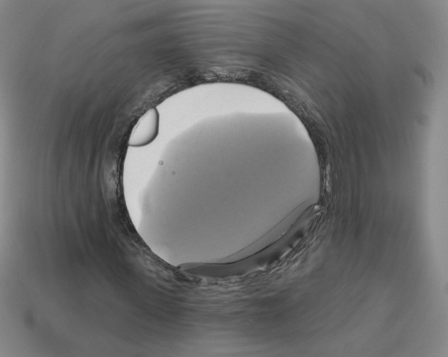 X0000113050915200910081228