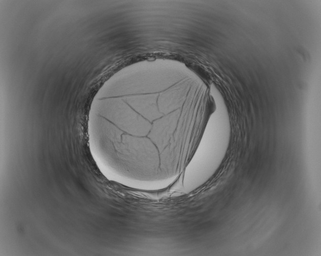 X0000113050916200910081228
