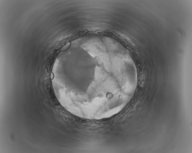 X0000113050917200910081228
