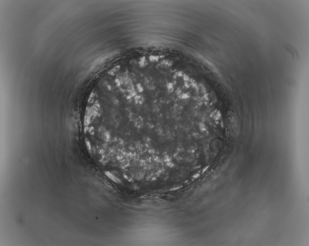 X0000113050918200910081228