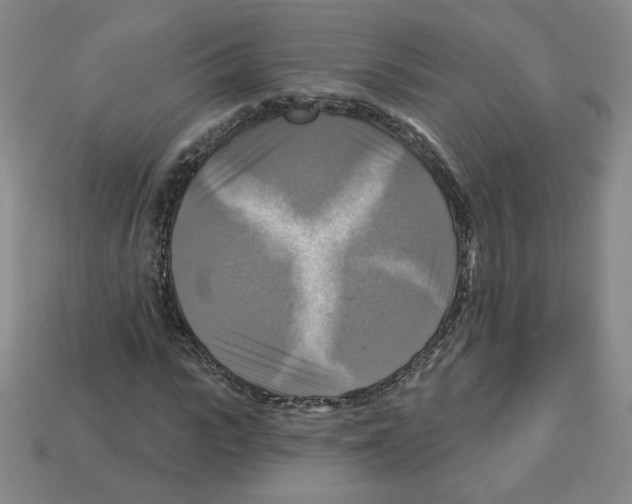 X0000113050919200910081228