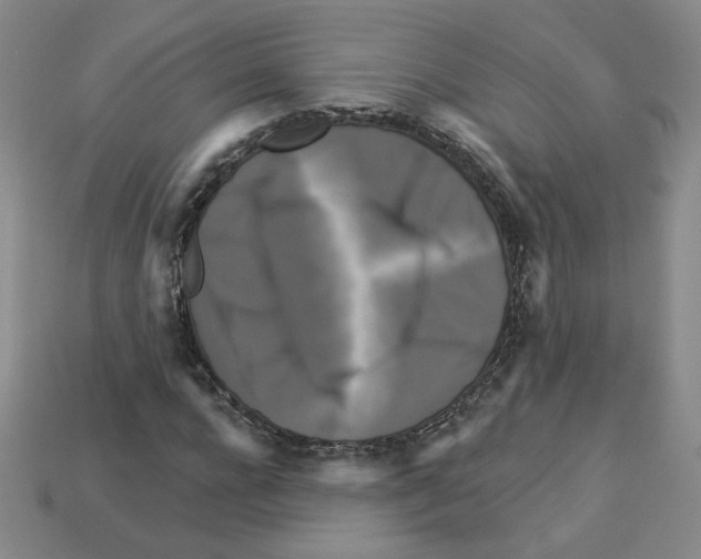 X0000113050920200910081228