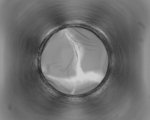 X0000113050921200910081228
