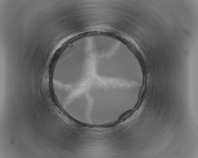 X0000113050923200910081228