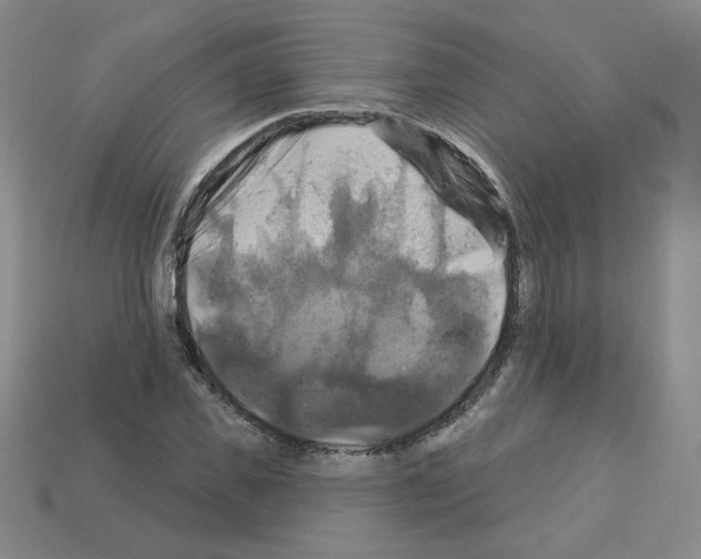 X0000113050925200910081228