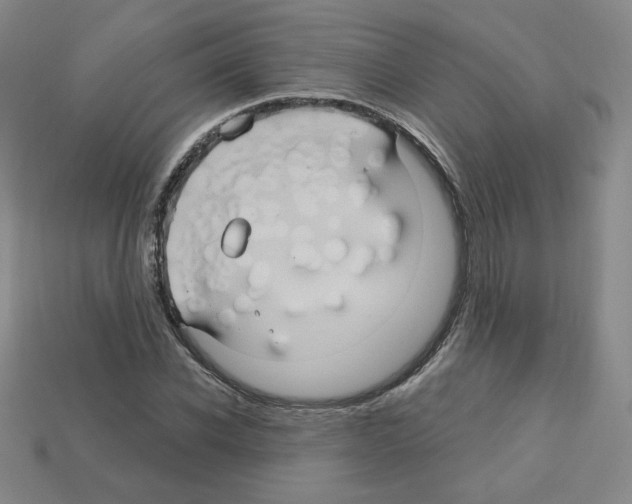 X0000113050926200910081228