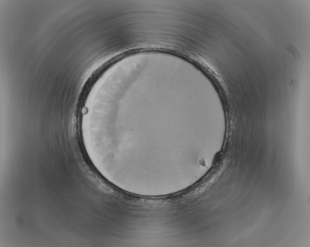 X0000113050928200910081228