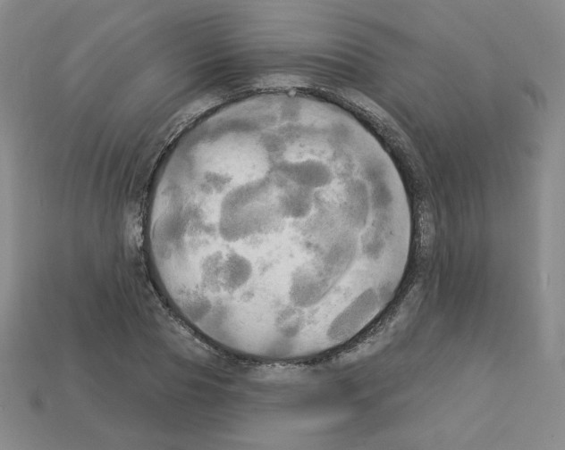 X0000113050929200910081228