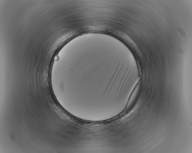 X0000113050930200910081228