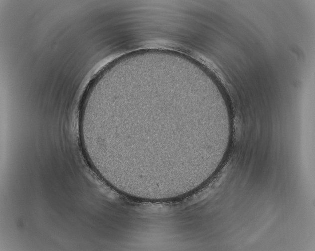 X0000113050931200910081228