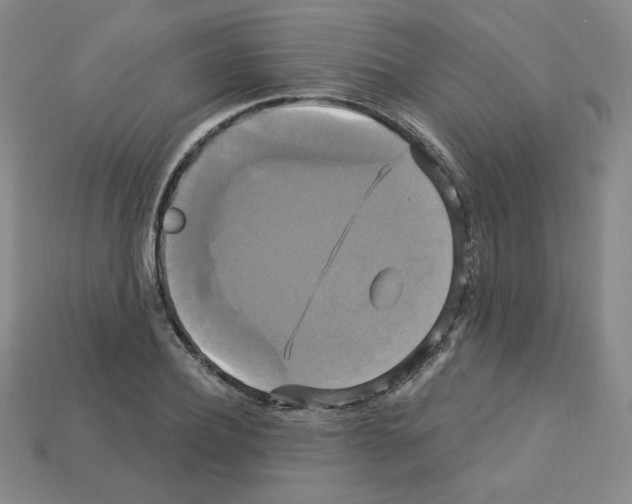 X0000113050932200910081228