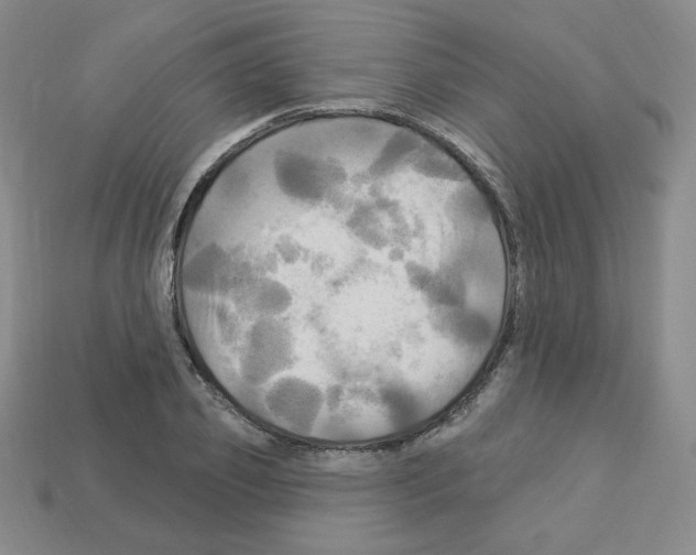 X0000113050933200910081228