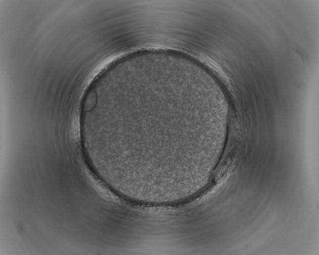 X0000113050934200910081228