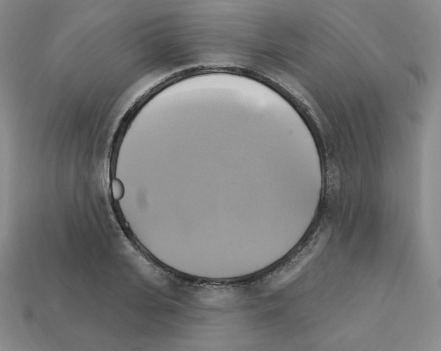 X0000113050935200910081228