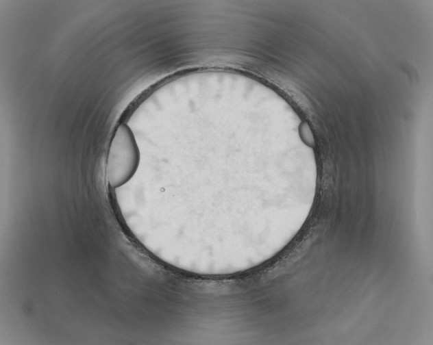 X0000113050936200910081228