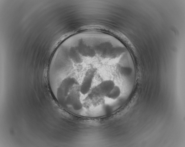 X0000113050937200910081228
