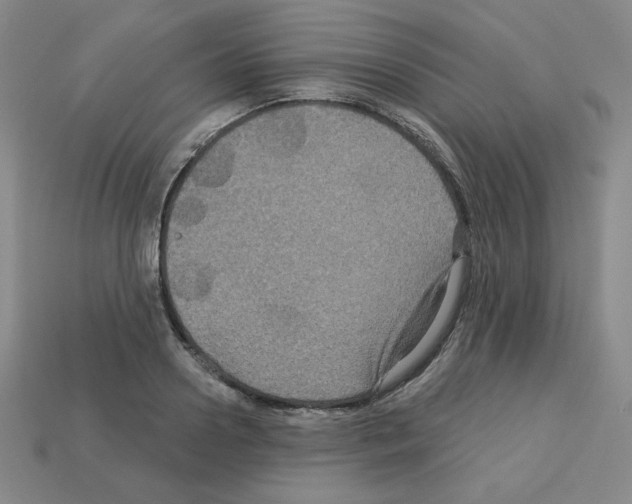 X0000113050938200910081228