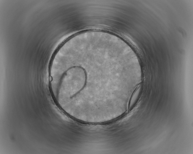 X0000113050940200910081228